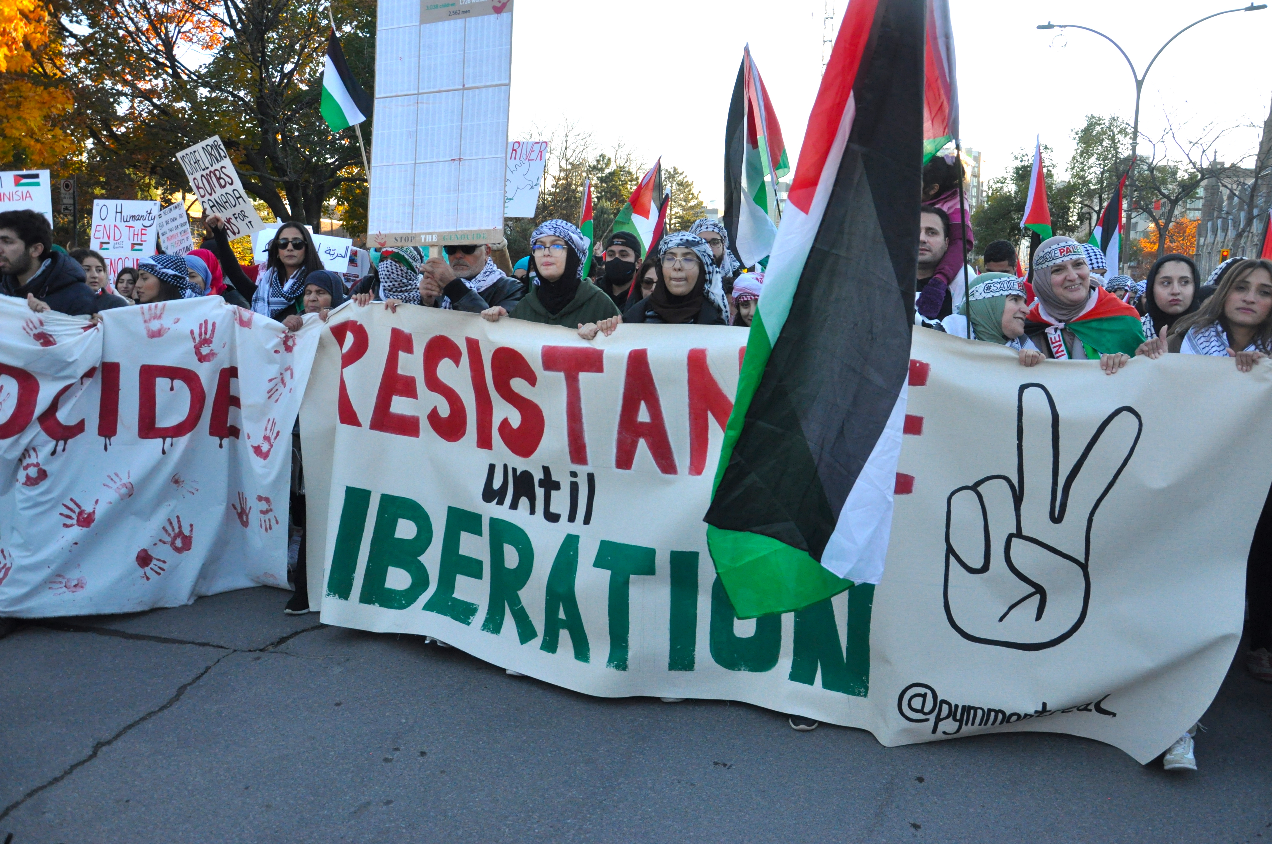 March in solidarity with the Palestinian people in Montreal on November 4, 2023. Photo: Jahanzeb Hussain.