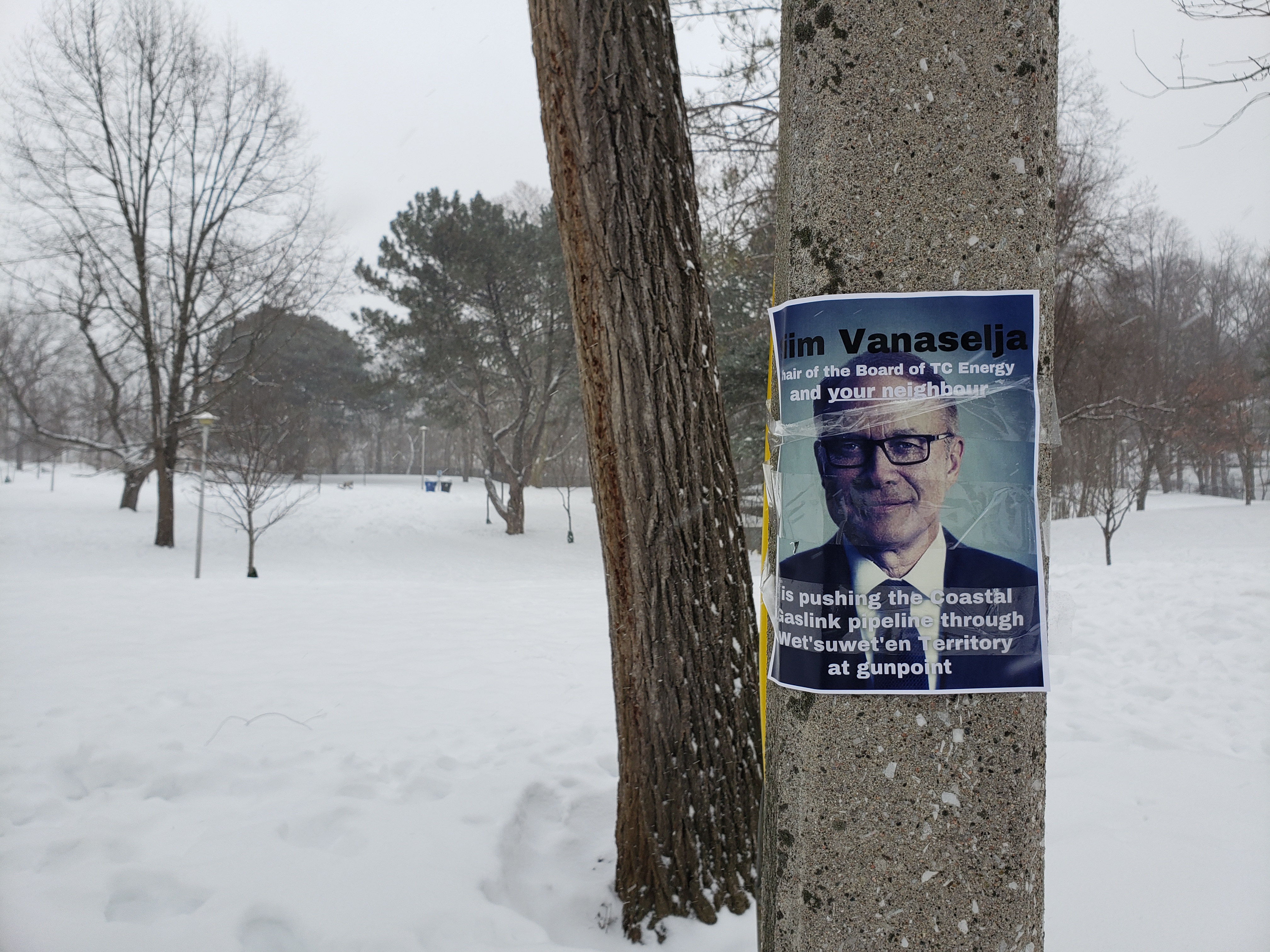 Poster of Vanaselja still up on Monday afternoon, January 24, near his house, at the border of the popular Chorley Park in Rosedale. Author photo.