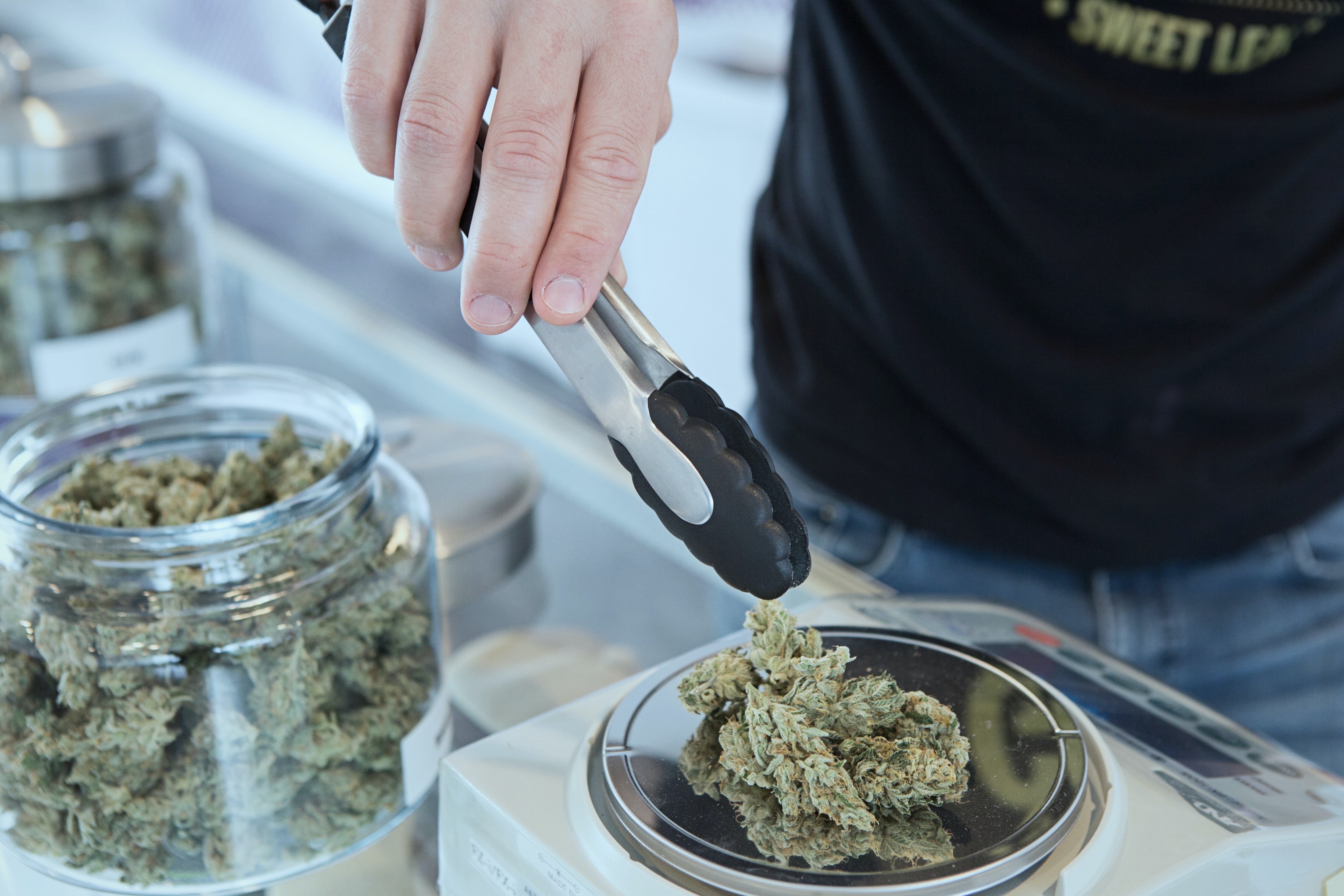 Cannabis being weighed. Photo: Add Weed on Unsplash