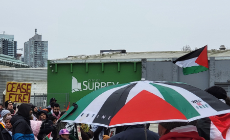 Palestine solidarity rally in Surrey with Palestine flags and umbrella.